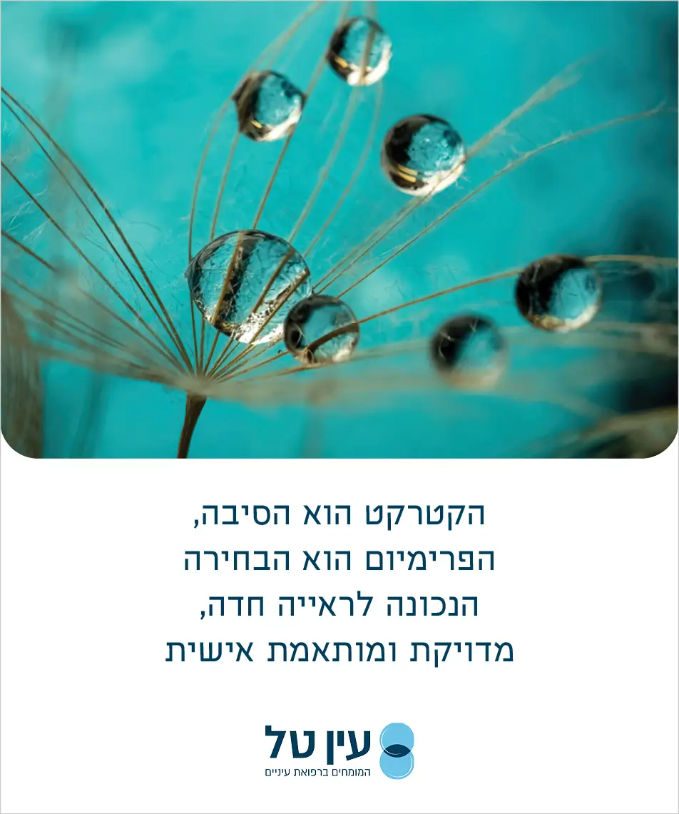 באנר לעמוד עדשות פרימיום - חדש