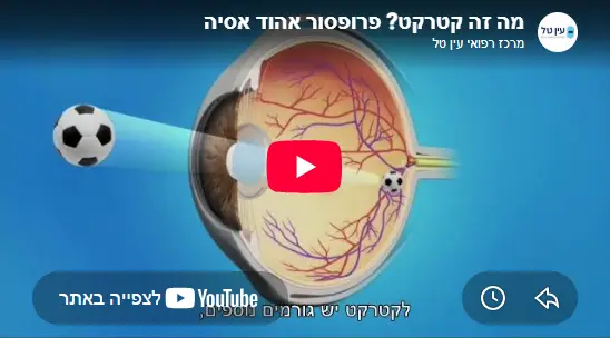 סרטון וידיאו ראשון פרופ אסיה